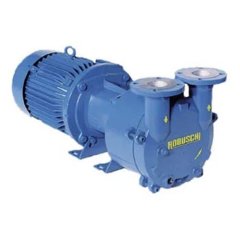 Водокольцевой вакуумный насос Robuschi RVS17/SG