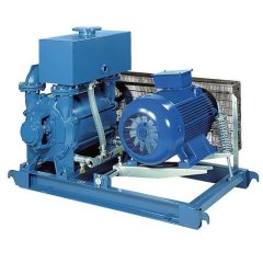 Водокольцевой вакуумный насос Robuschi LRVS40