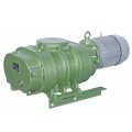 Вакуумный насос Osaka Vacuum RD600