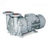 Вакуумные насосы Elmo Rietschle L-BV5